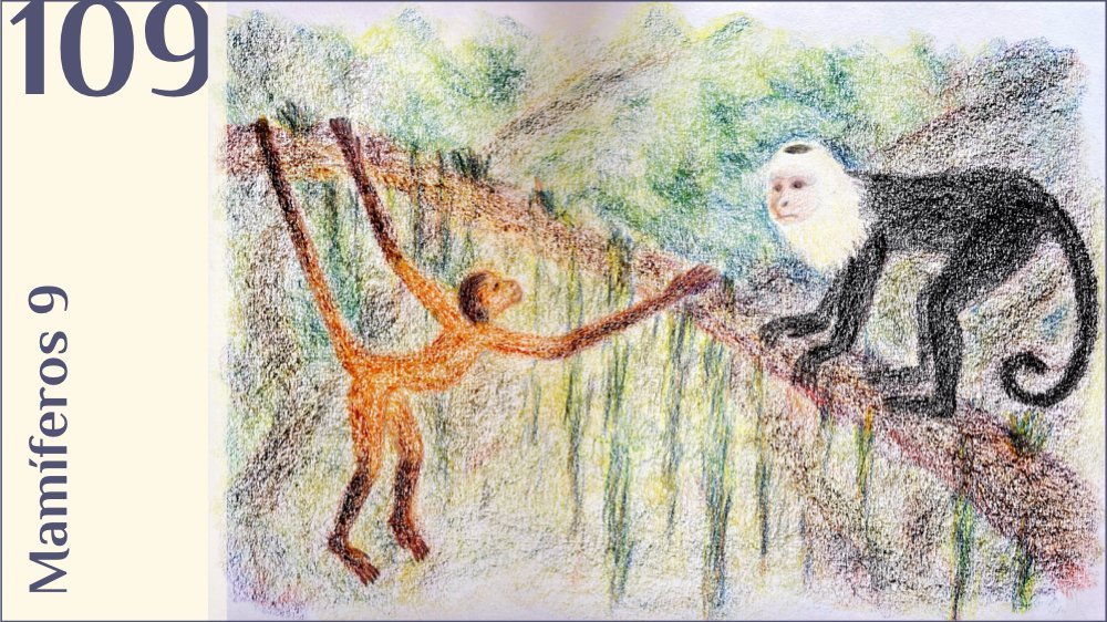 Dibujo Infantil Hecho Con Ceras De Mono Ara a Y Mono Capuchino Dibujo Infantil Hecho Con Ceras De Mono Ara a Y Mono Capuchino