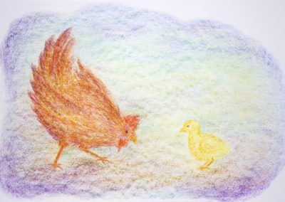 Gallina y Pollito