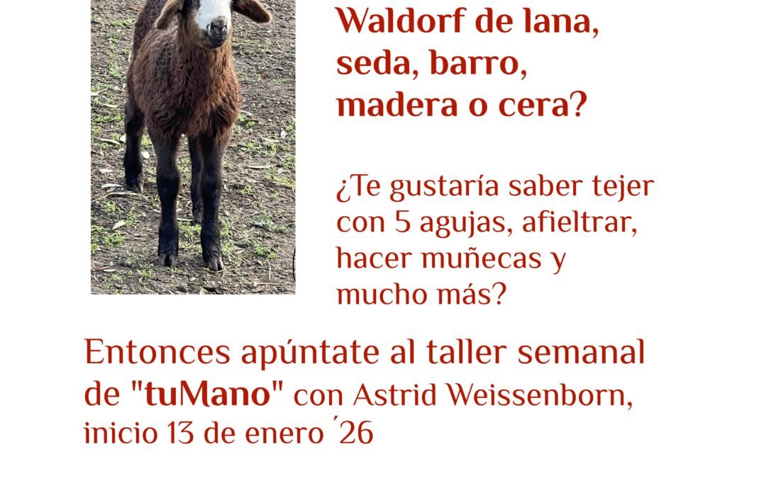 🫧 Taller labores Waldorf