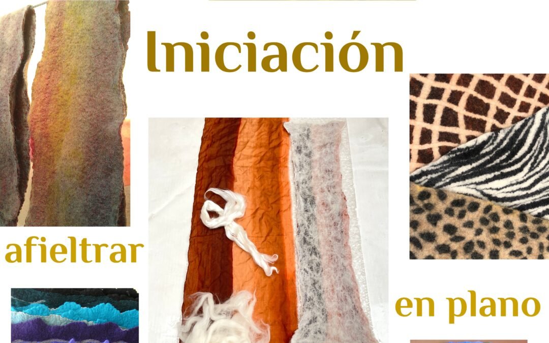 🫧 Taller Iniciación afieltrar en plano