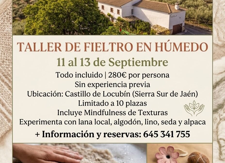 🫧 Taller de Fieltro